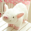 Lovely Cute Pig Plush Toy