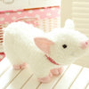 Lovely Cute Pig Plush Toy